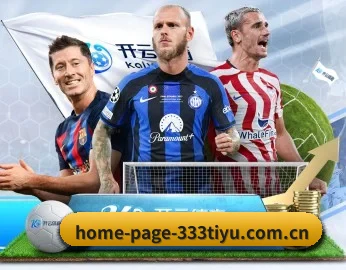 home-page-333tiyu.com.cn的故事